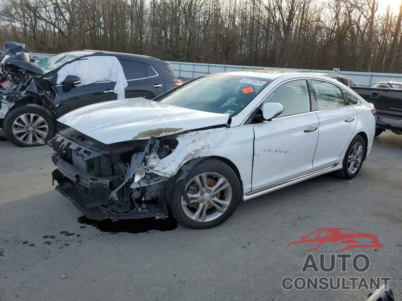 HYUNDAI SONATA 2019 - 5NPE34AF4KH735920