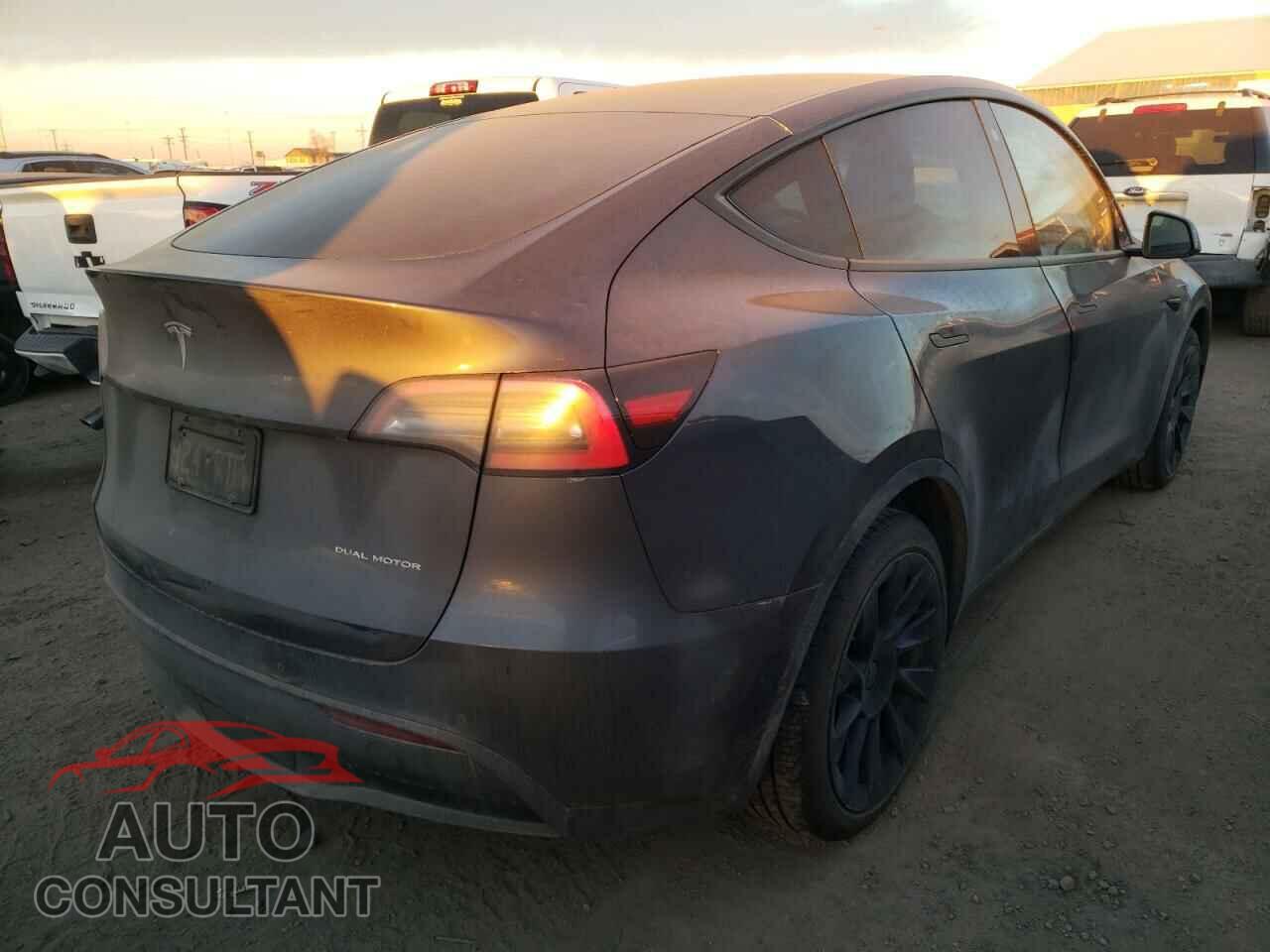 TESLA MODEL Y 2021 - 5YJYGDEE4MF084146