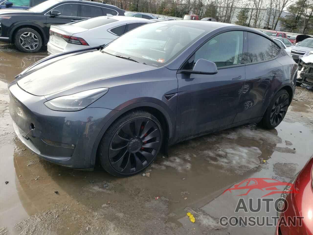 TESLA MODEL Y 2023 - 7SAYGDEF2PF645878