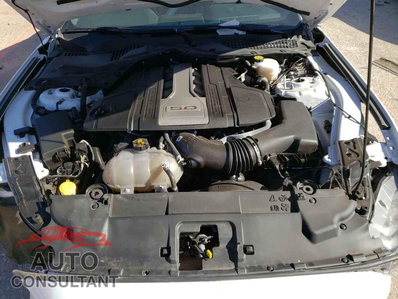 FORD MUSTANG 2019 - 1FA6P8CF6K5196459