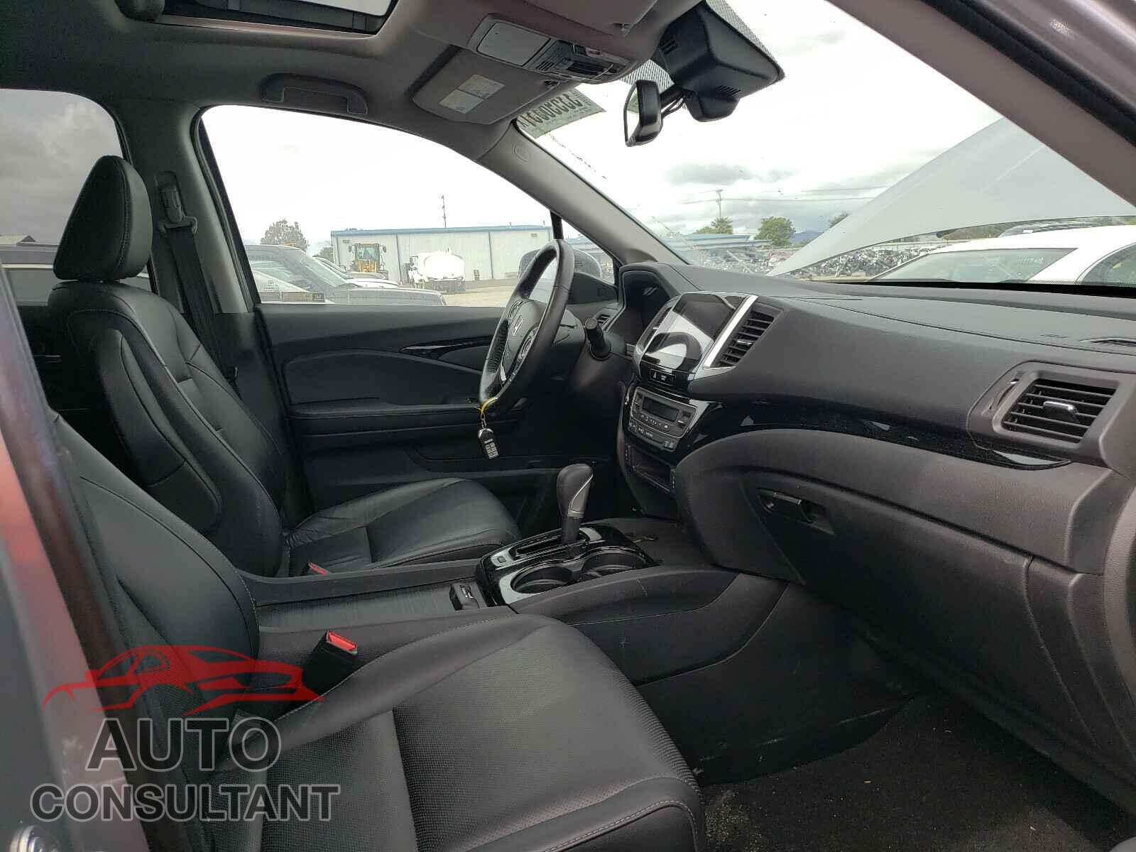 HONDA RIDGELINE 2019 - 5FPYK3F79KB013098