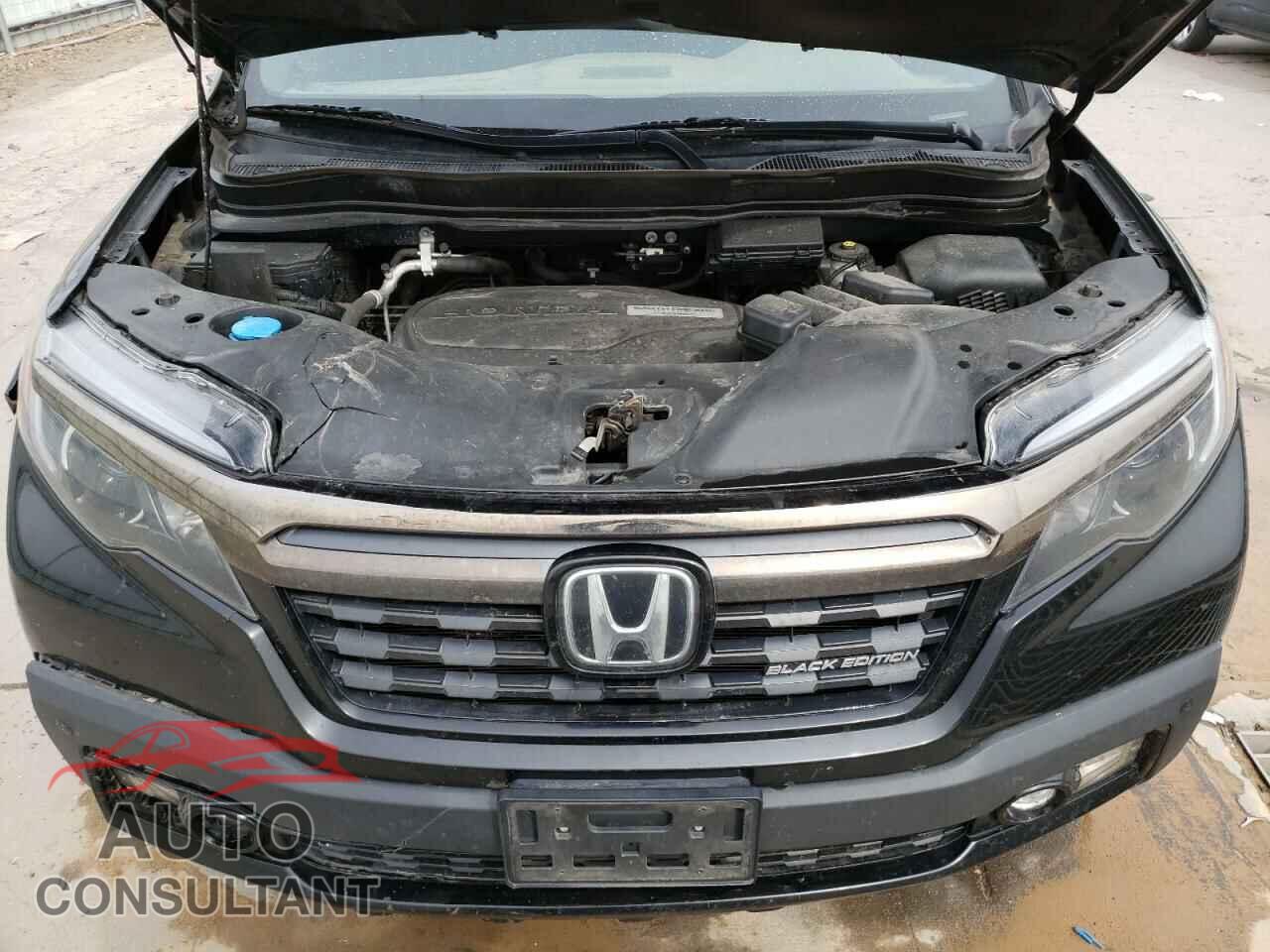 HONDA RIDGELINE 2019 - 5FPYK3F87KB014050