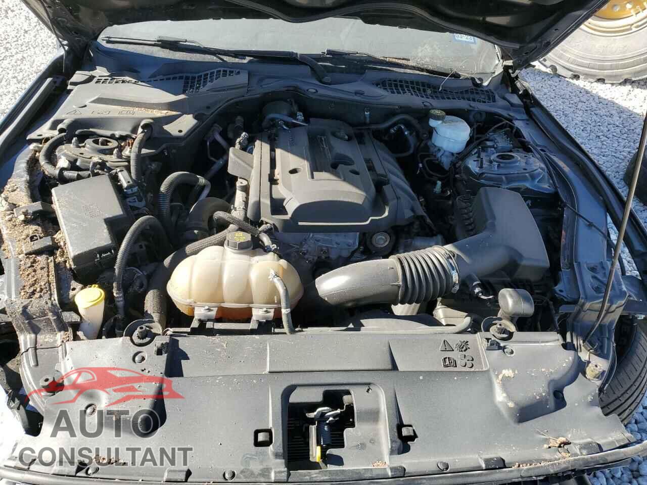 FORD MUSTANG 2019 - 1FA6P8TH3K5201876