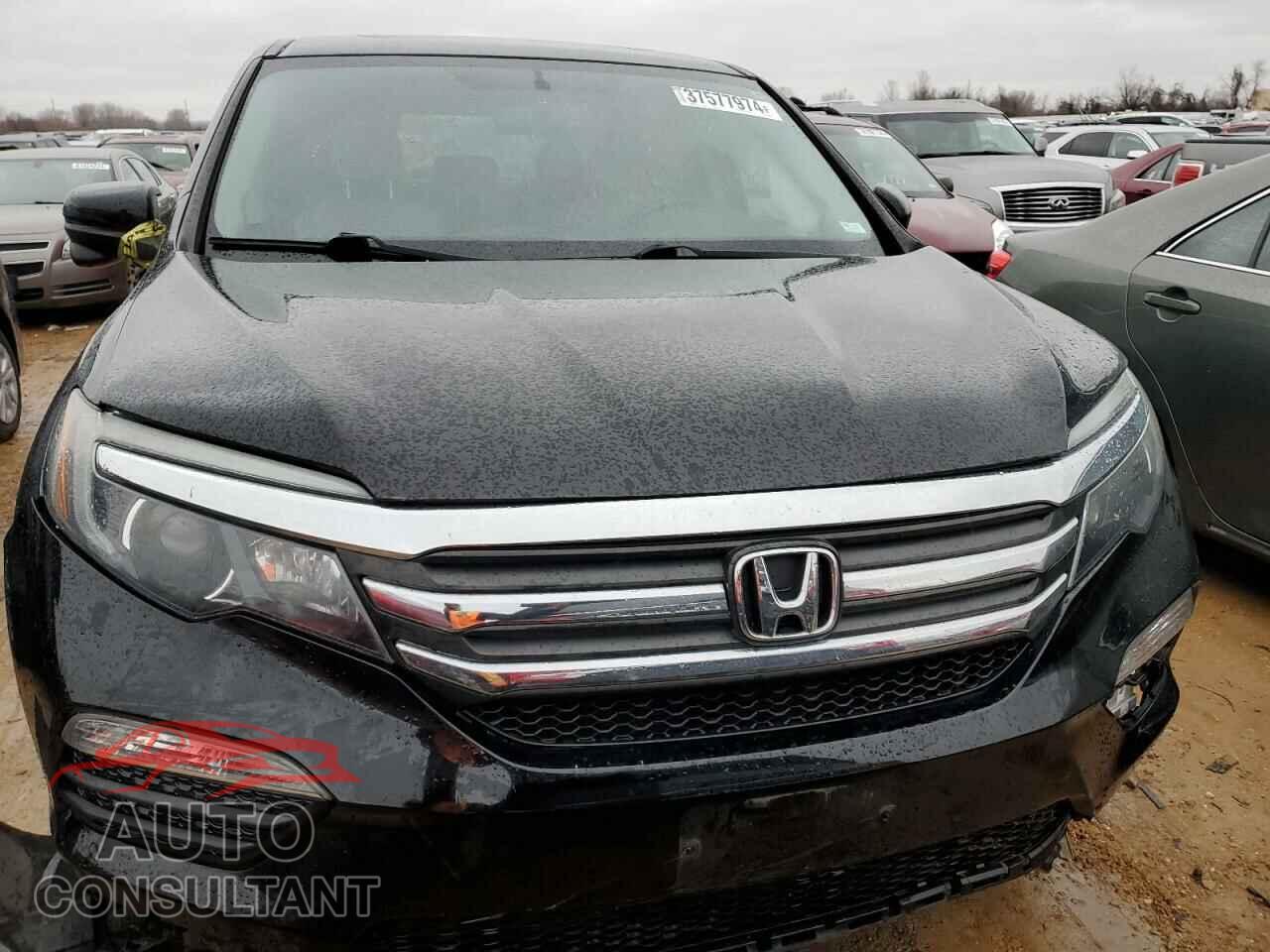 HONDA PILOT 2017 - 5FNYF6H52HB087904