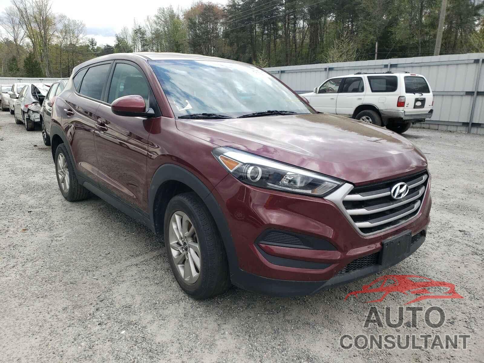 HYUNDAI TUCSON 2017 - KM8J23A43HU402225