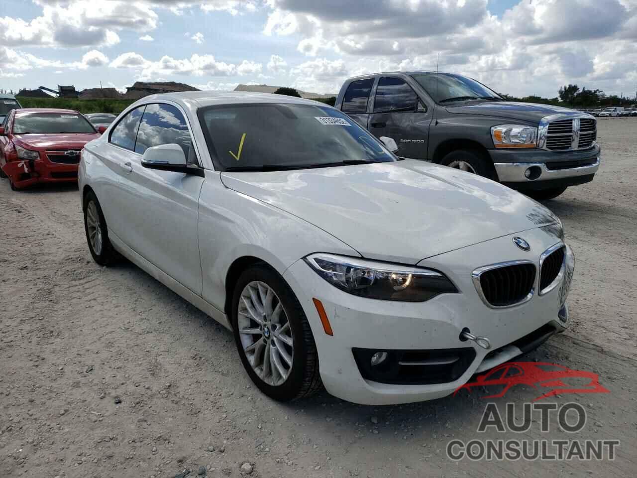 BMW 2 SERIES 2016 - WBA1F9C51GV546203