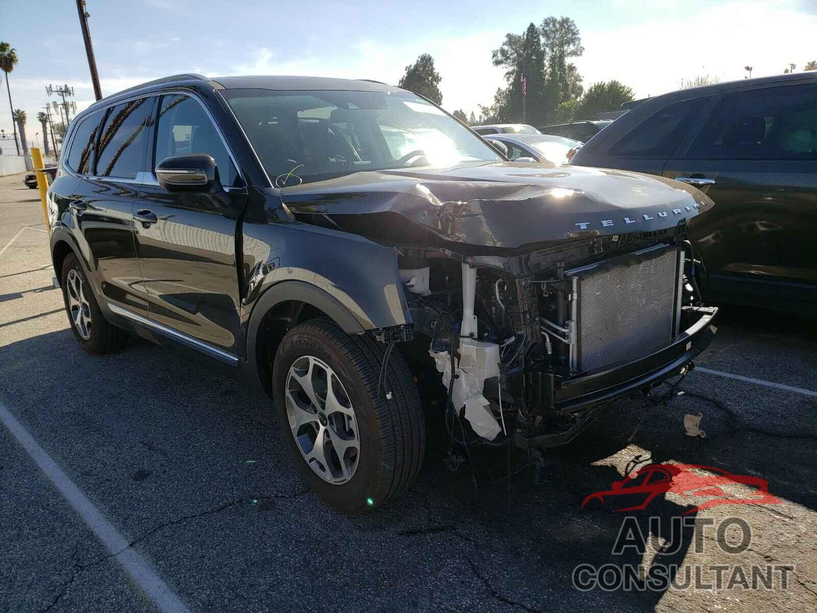 KIA TELLURIDE 2020 - 5XYP34HC0LG076358