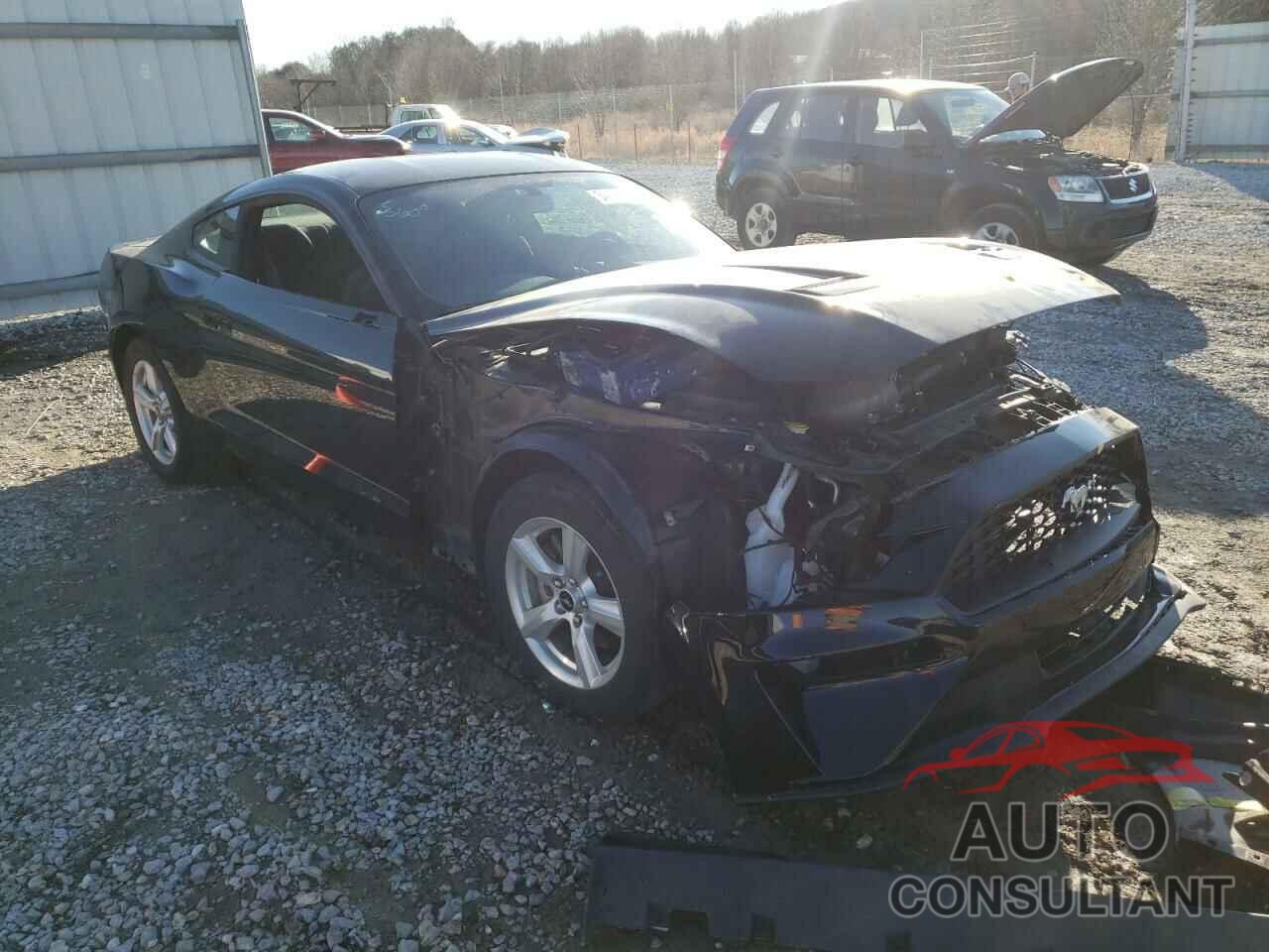FORD MUSTANG 2019 - 1FA6P8THXK5163224