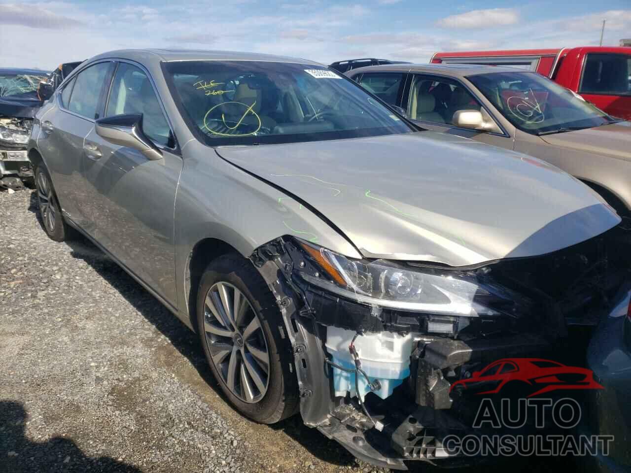 LEXUS ES300 2020 - 58AD21B18LU004421