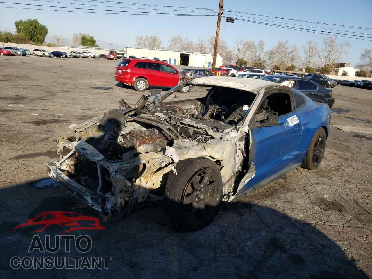 FORD MUSTANG 2019 - 1FA6P8TH4K5194811