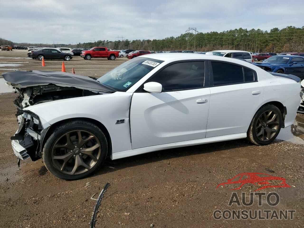 DODGE CHARGER 2019 - 2C3CDXCT8KH666025