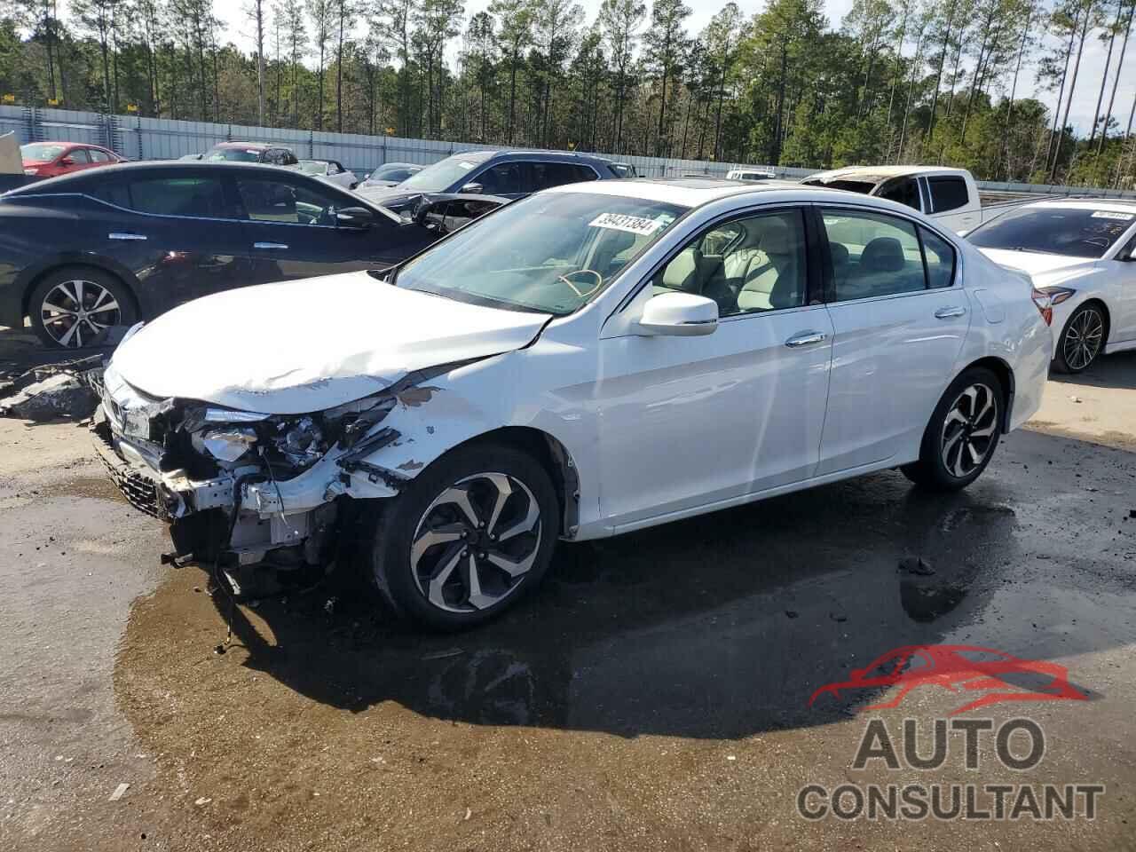 HONDA ACCORD 2016 - 1HGCR3F0XGA029846