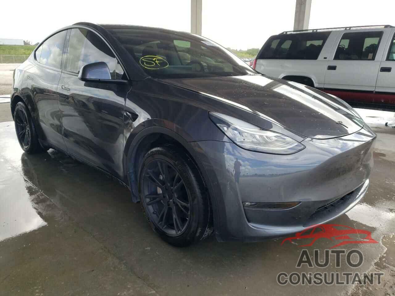 TESLA MODEL Y 2021 - 5YJYGDEE1MF175262