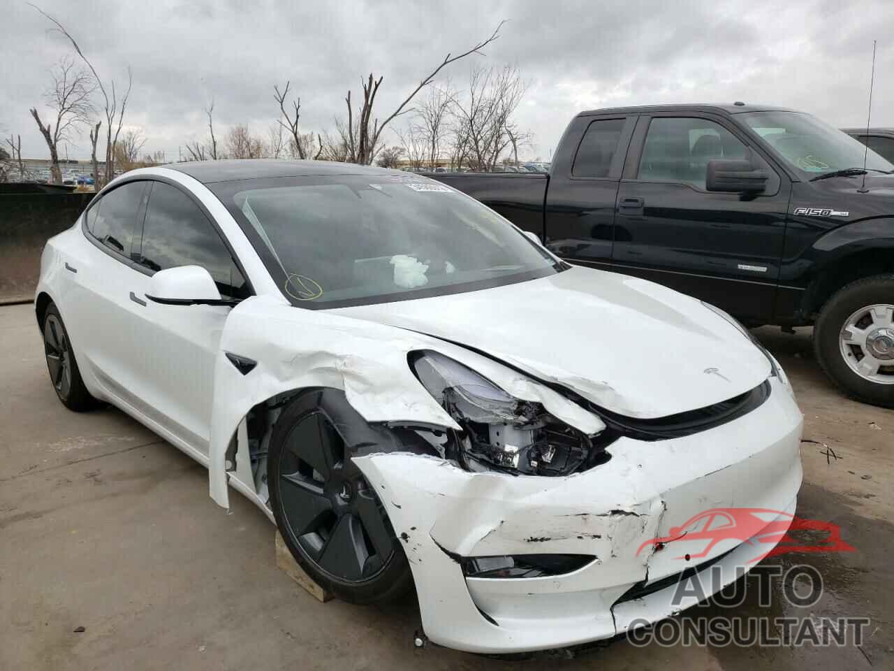 TESLA MODEL 3 2021 - 5YJ3E1EAXMF093901