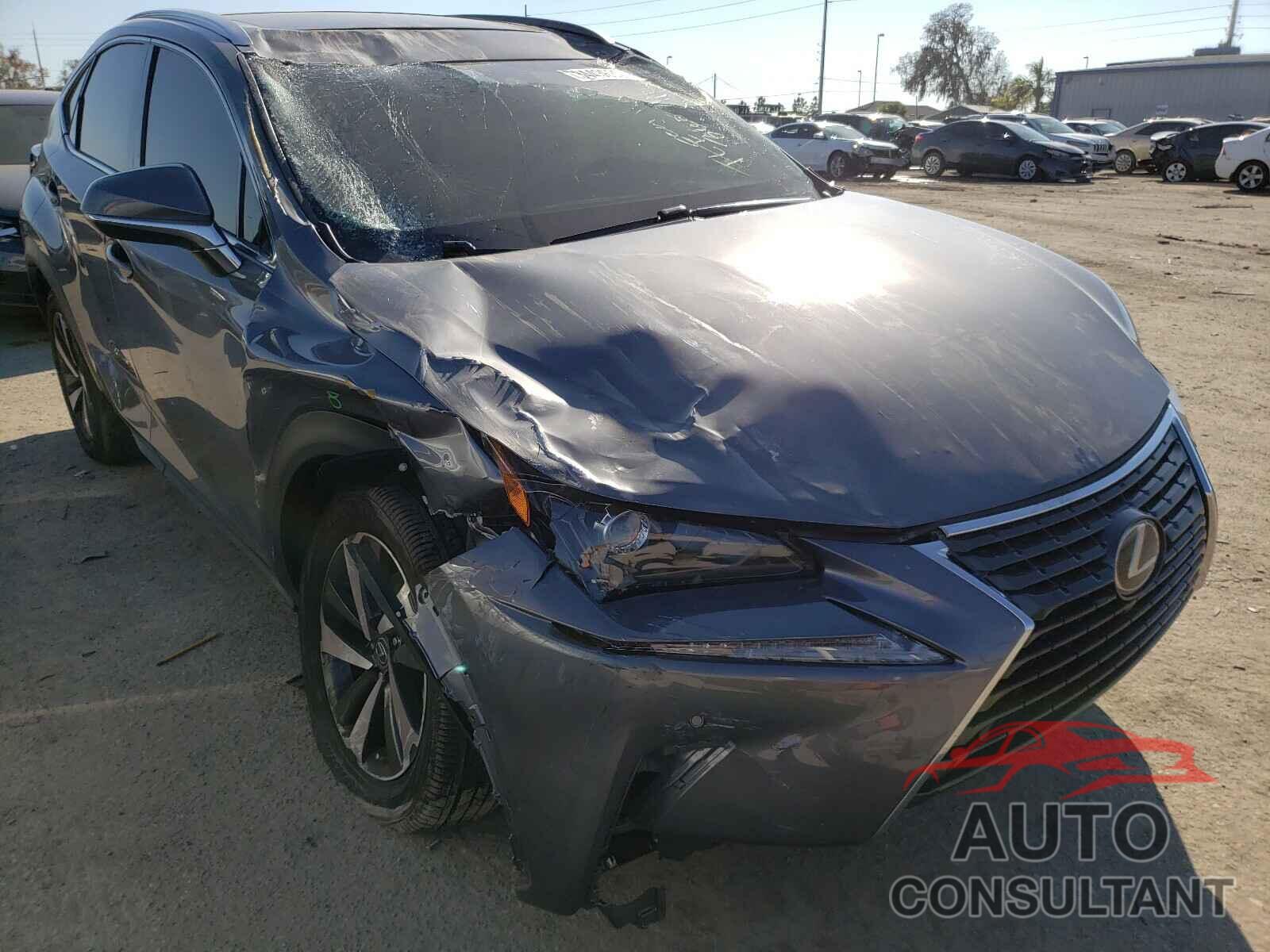 LEXUS NX 2019 - JTJYARBZ1K2145732