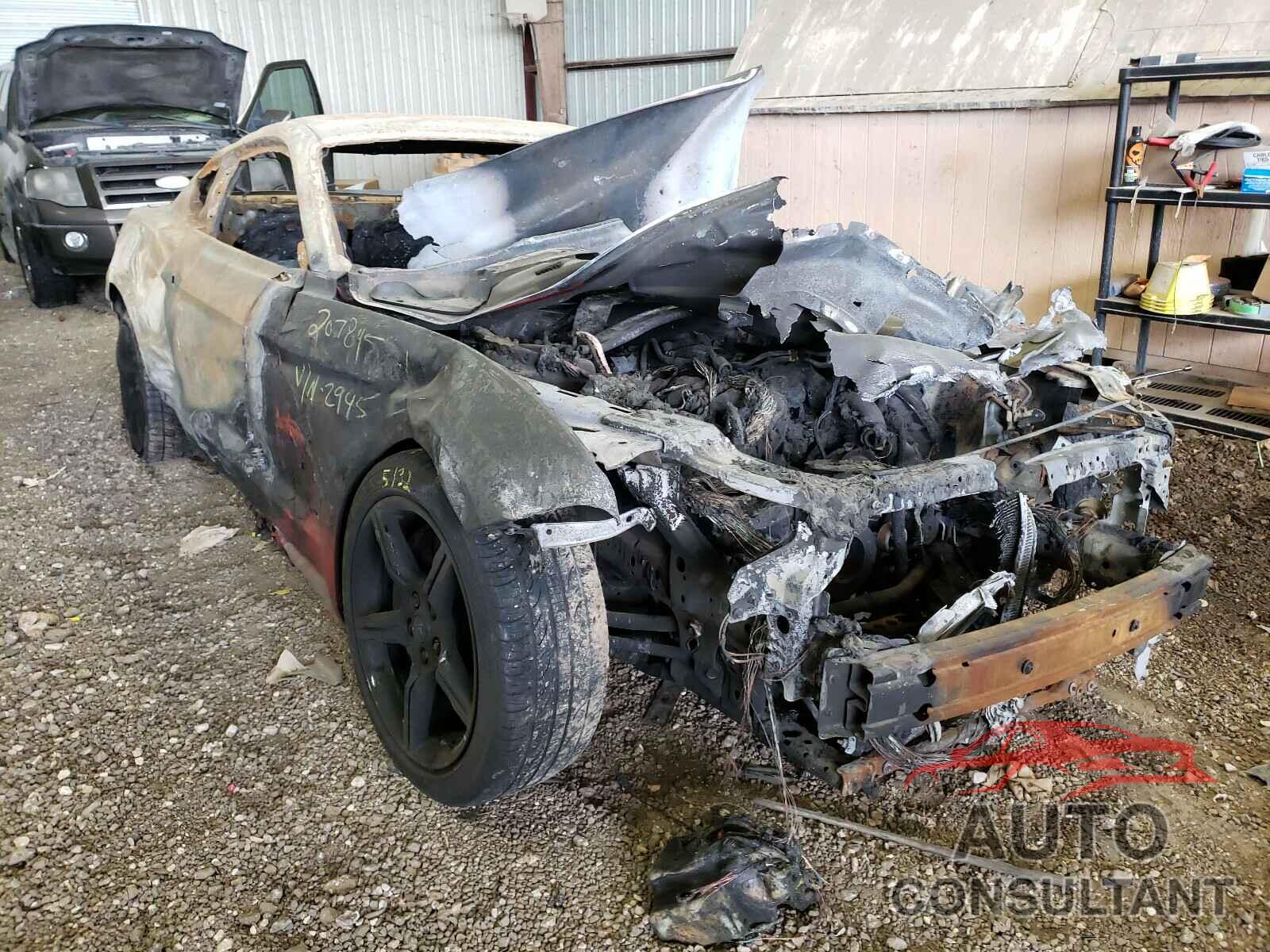 FORD MUSTANG 2019 - 1FA6P8CF8K5122945