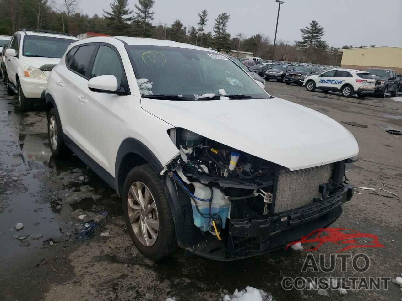 HYUNDAI TUCSON 2019 - KM8J2CA40KU948276