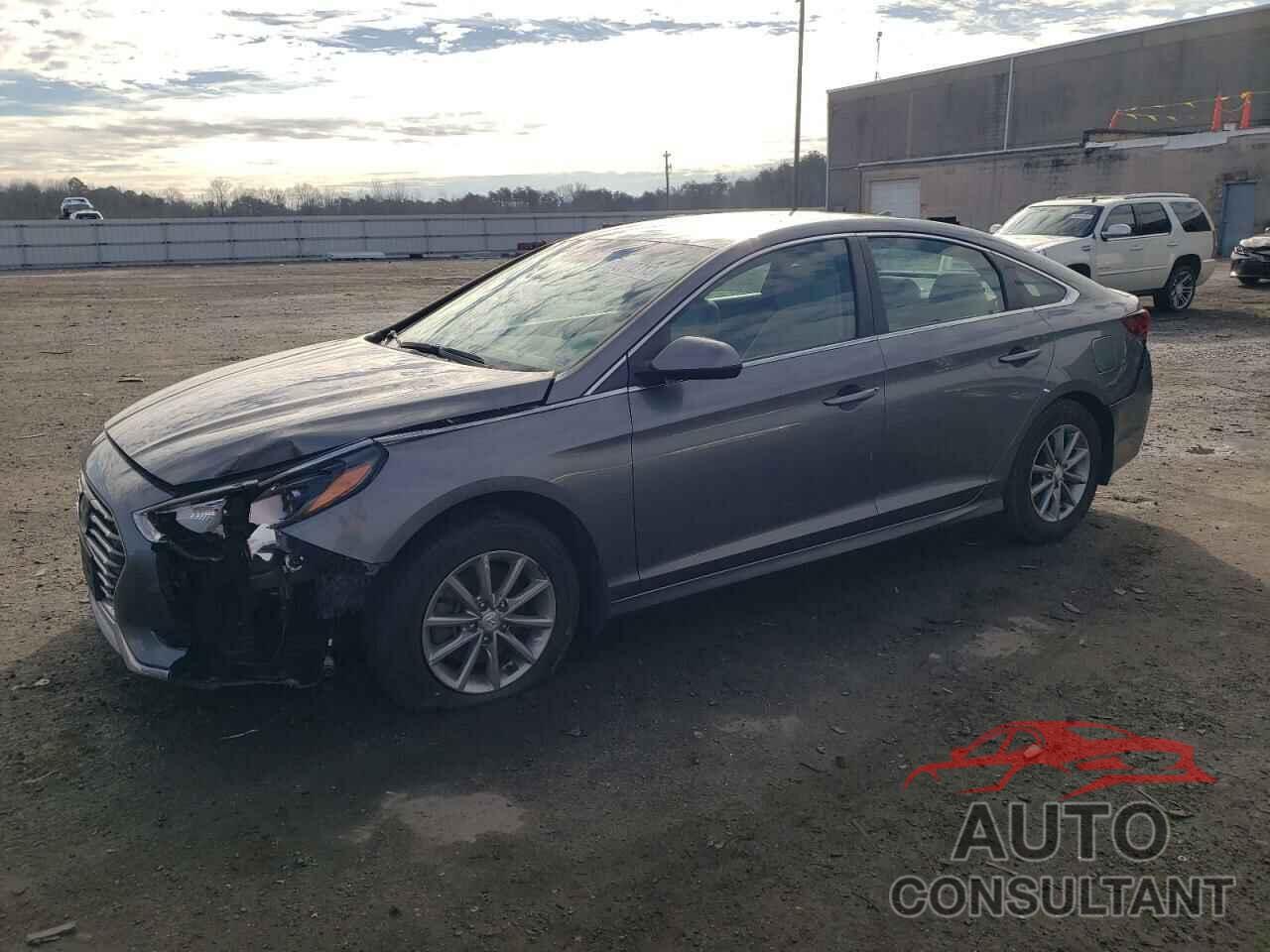 HYUNDAI SONATA 2019 - 5NPE24AF3KH781435