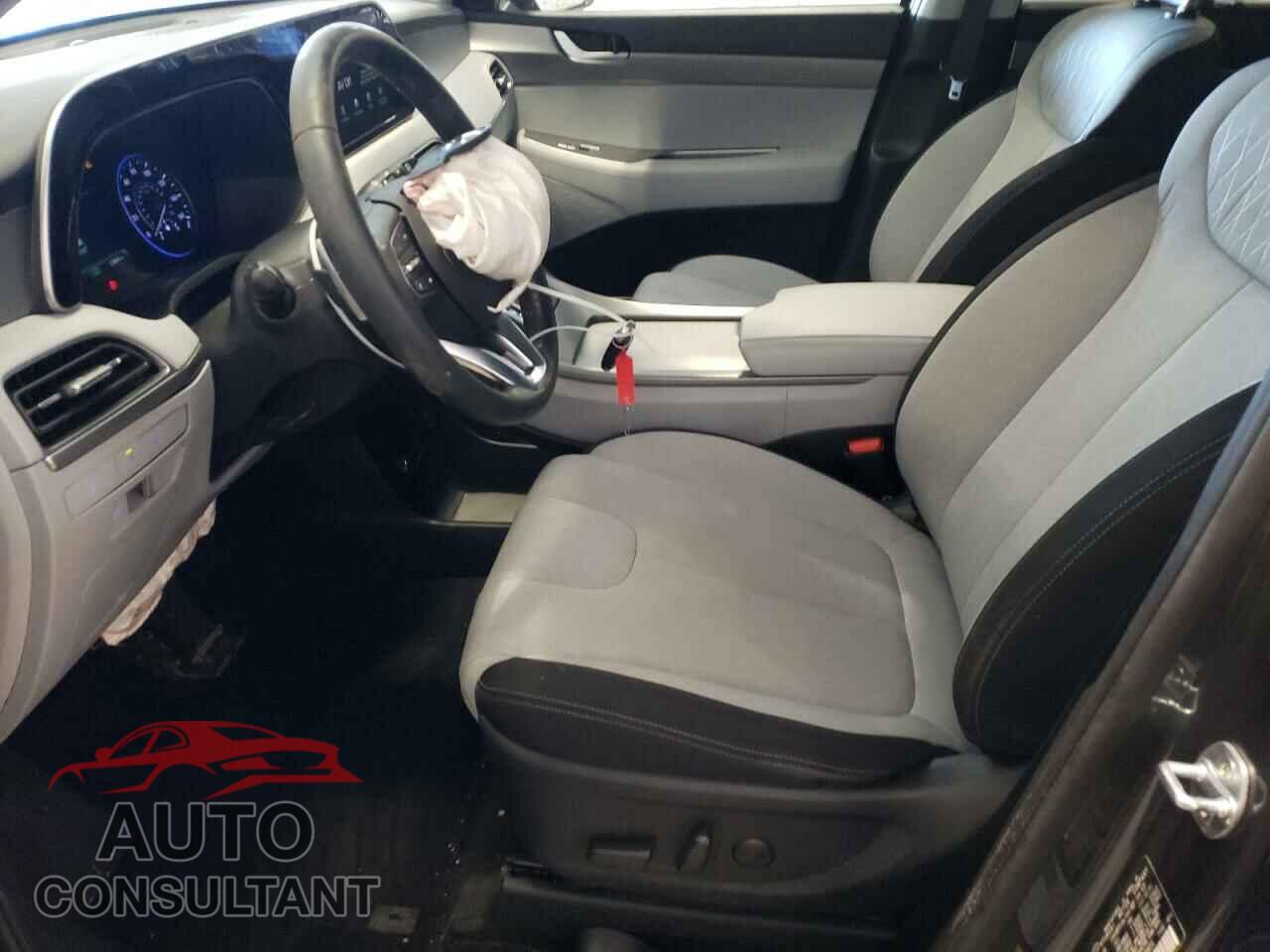HYUNDAI PALISADE 2020 - KM8R3DHEXLU135839