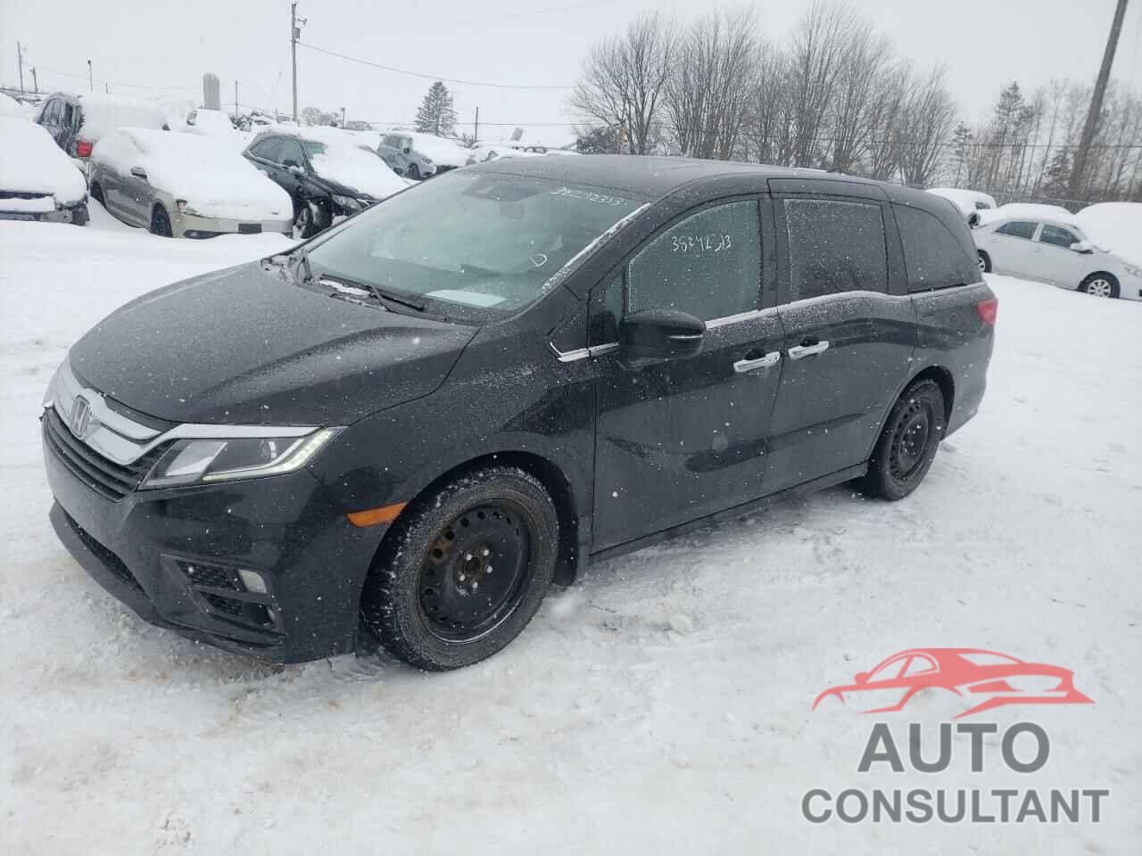 HONDA ODYSSEY 2019 - 5FNRL6H47KB513419