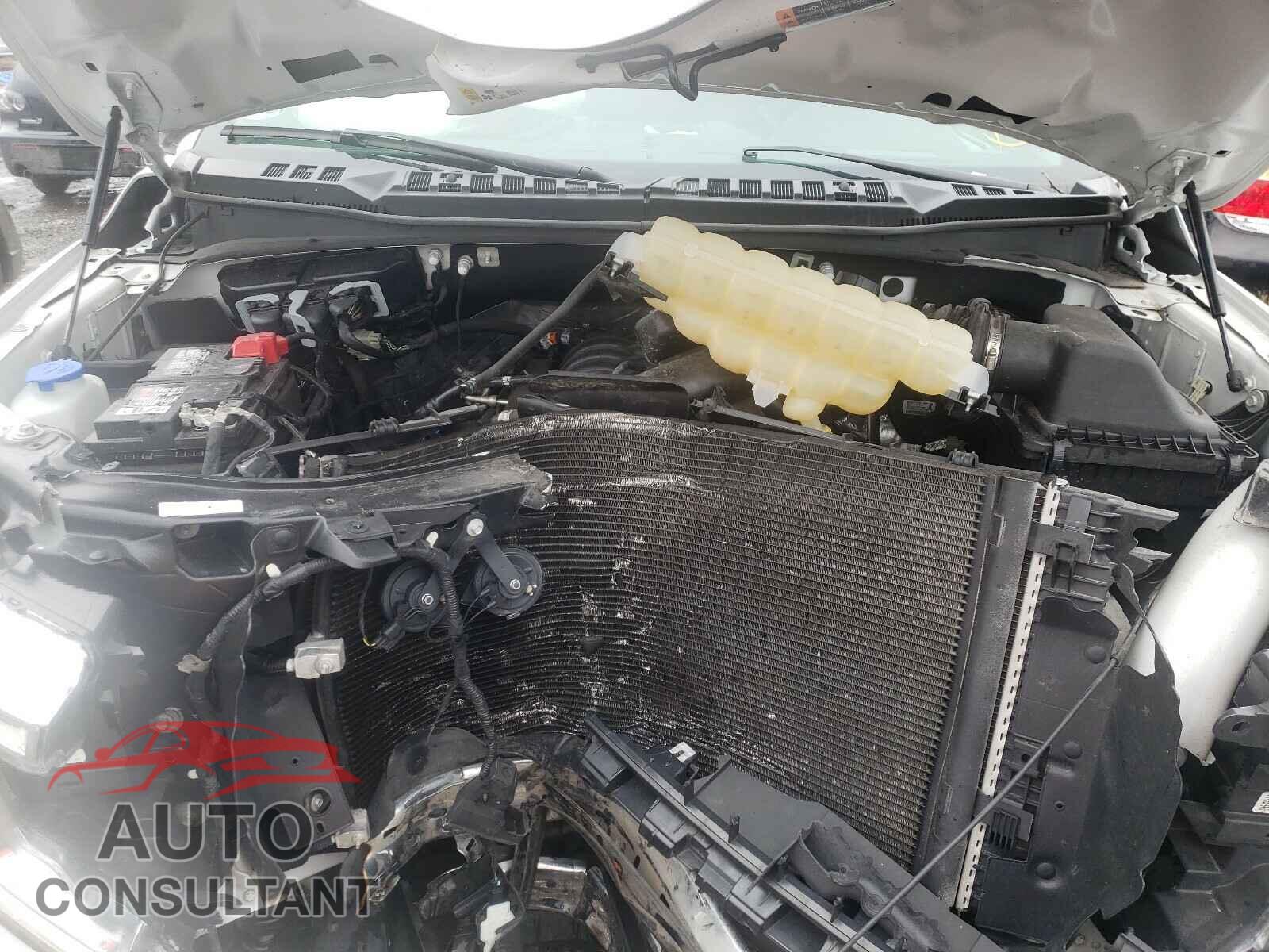FORD F150 2019 - 1FTMF1C59KKD60310
