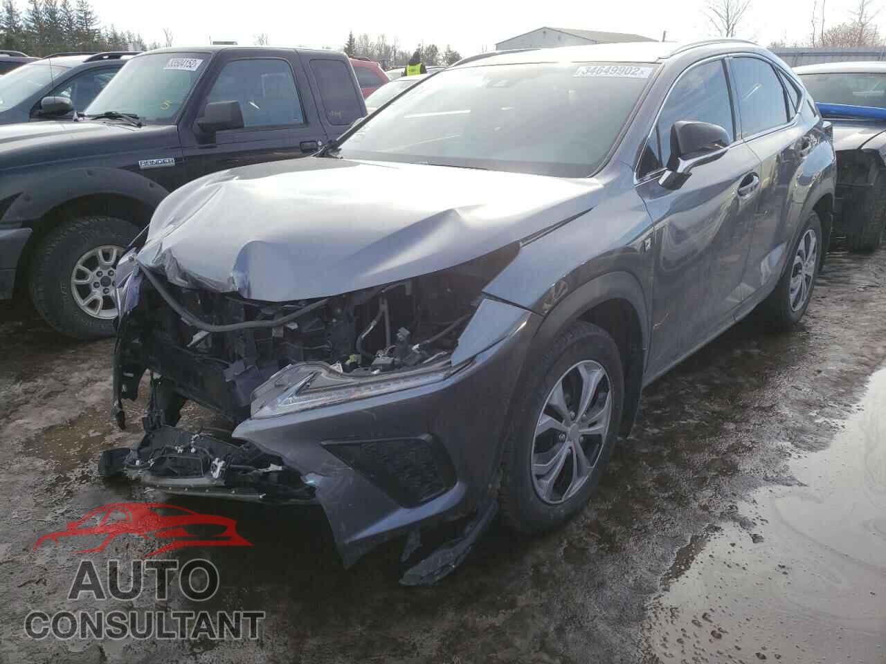 LEXUS NX 2019 - 3N1CP5CV6LL481105