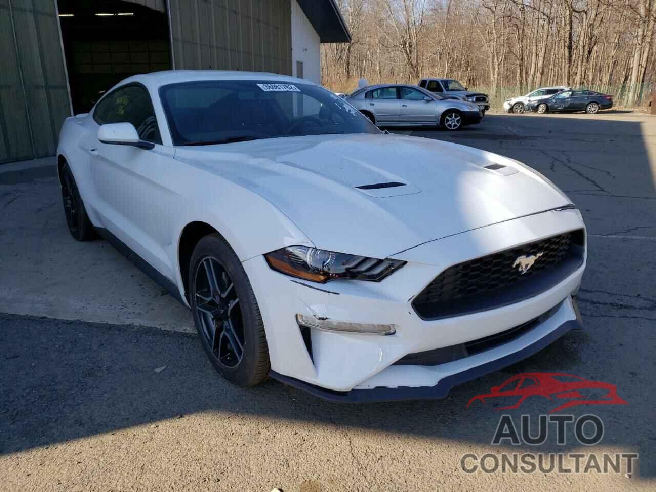 FORD MUSTANG 2019 - 1FA6P8TH5K5133662