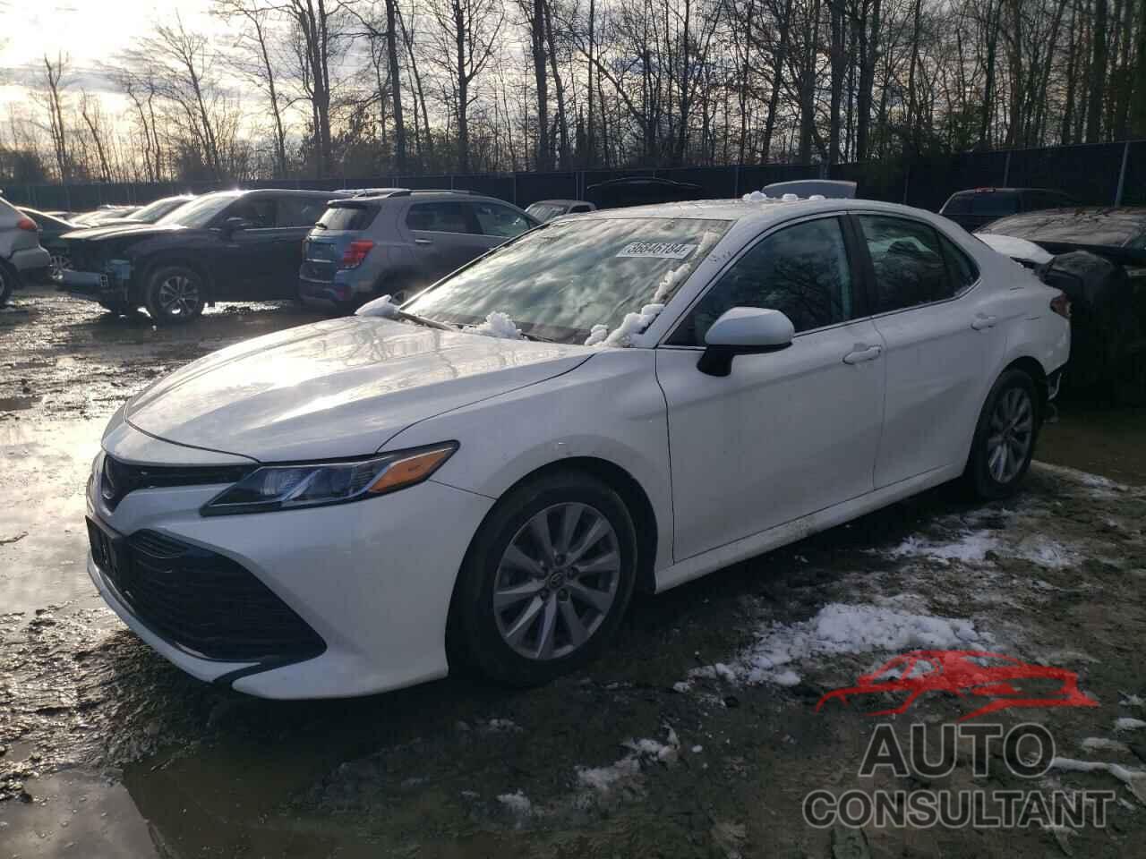 TOYOTA CAMRY 2020 - 4T1C11AK8LU360299