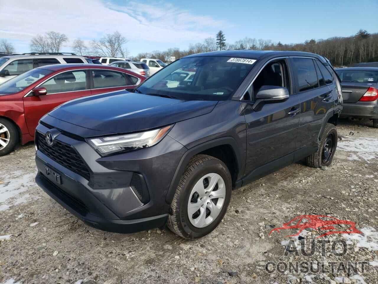 TOYOTA RAV4 2024 - 2T3G1RFV7RC400067