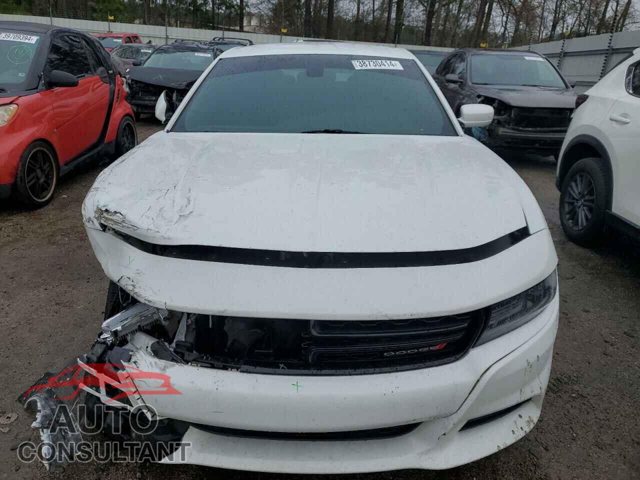DODGE CHARGER 2019 - 2C3CDXBG7KH626488