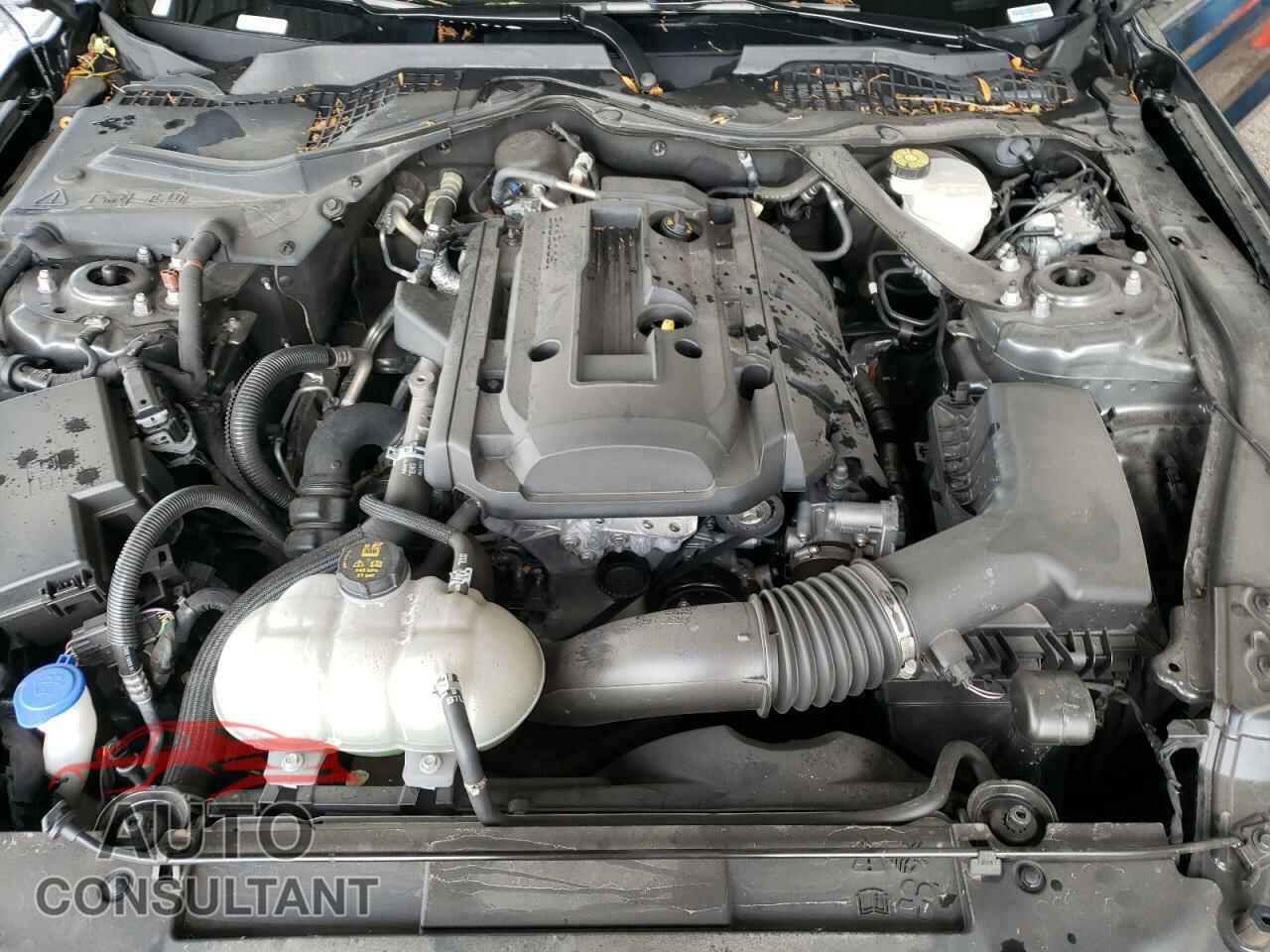 FORD MUSTANG 2020 - 1FATP8UH5L5135897