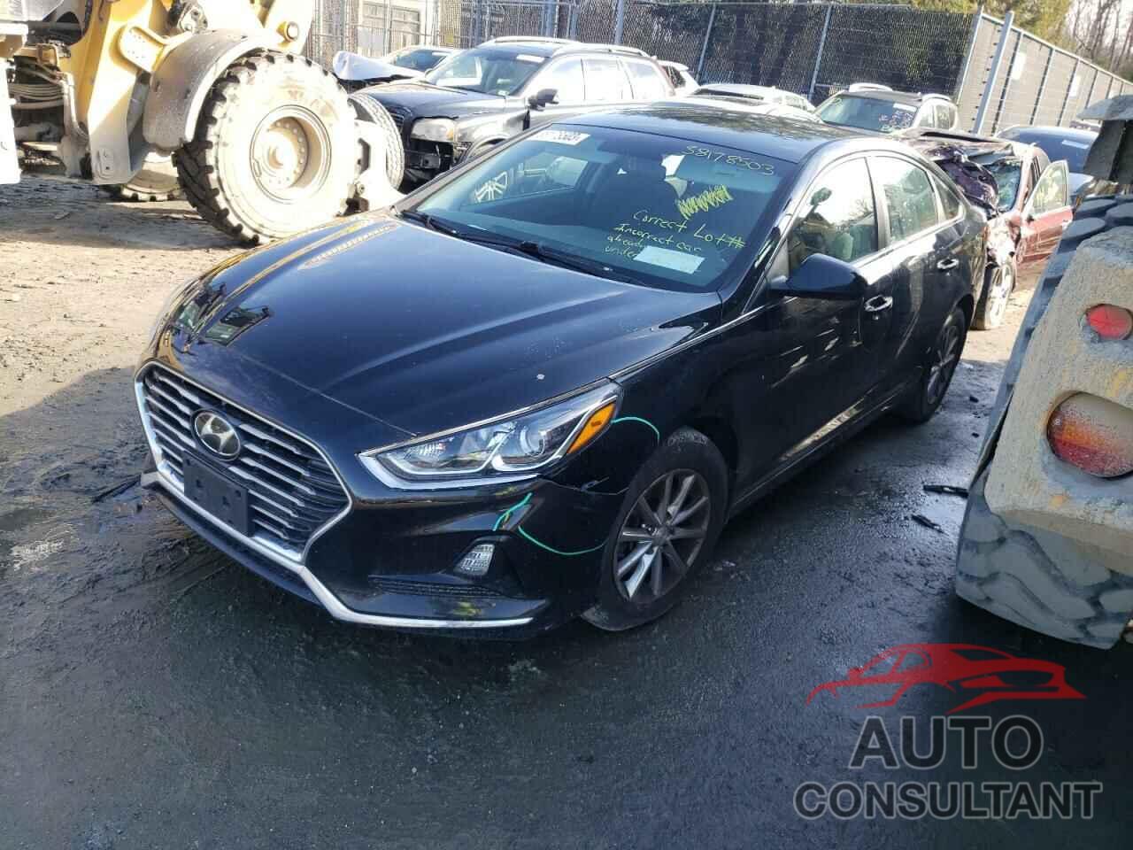 HYUNDAI SONATA 2019 - 5NPE24AF4KH749254