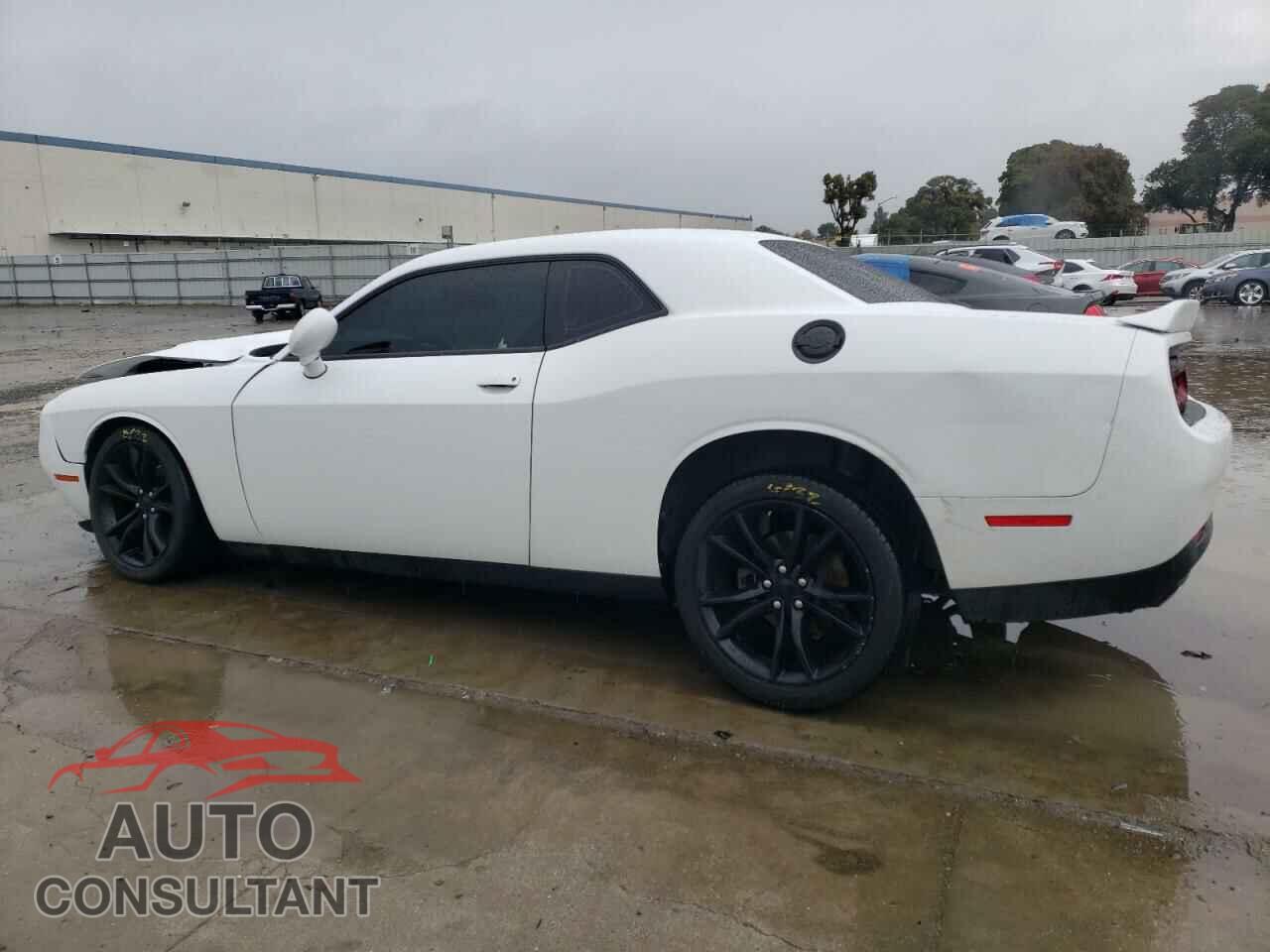 DODGE CHALLENGER 2019 - 2C3CDZAG9KH733460