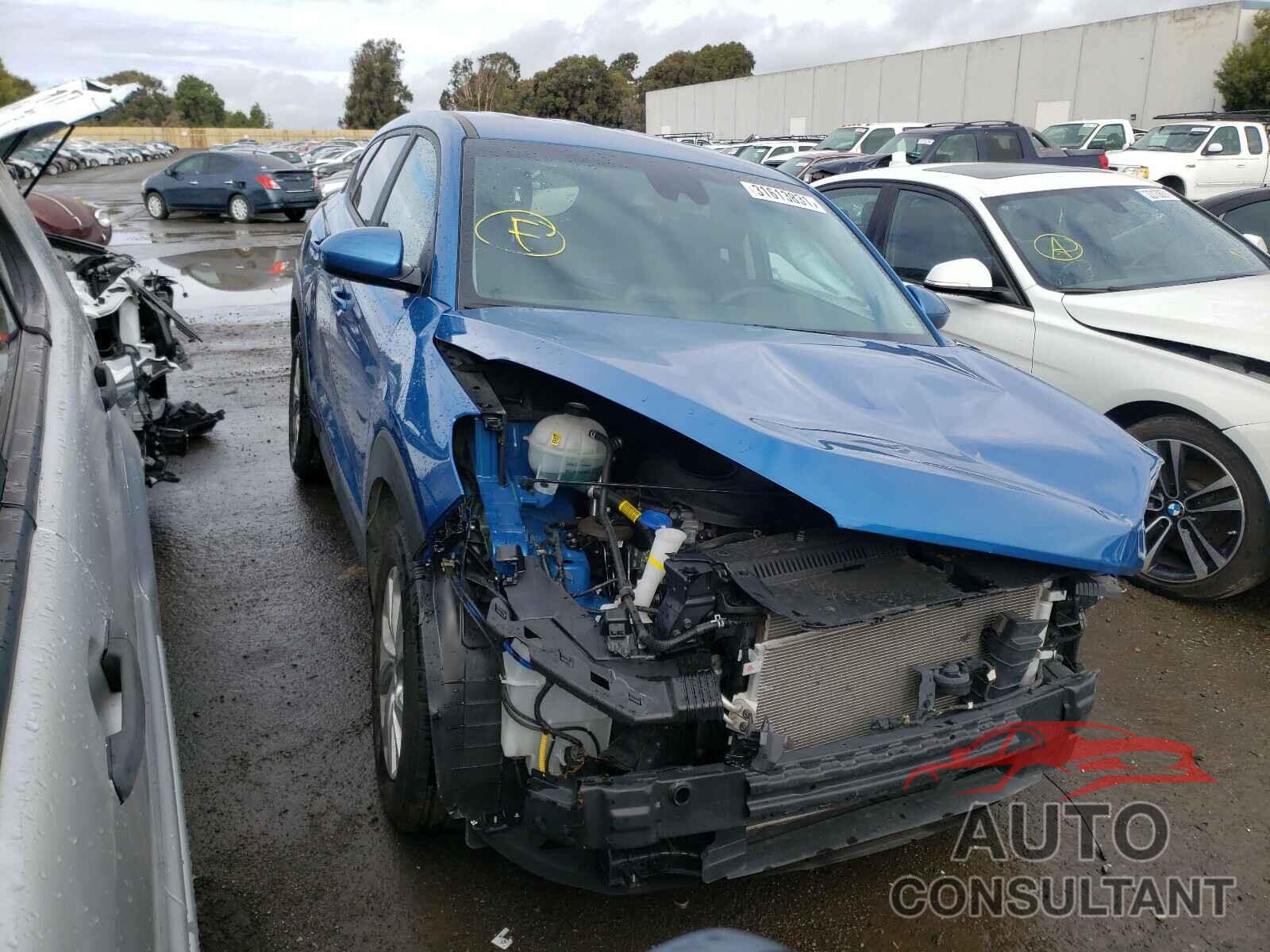HYUNDAI TUCSON 2020 - KM8J2CA4XLU120575