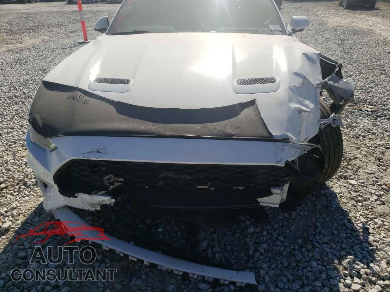 FORD MUSTANG 2019 - 1FATP8UH2K5187406