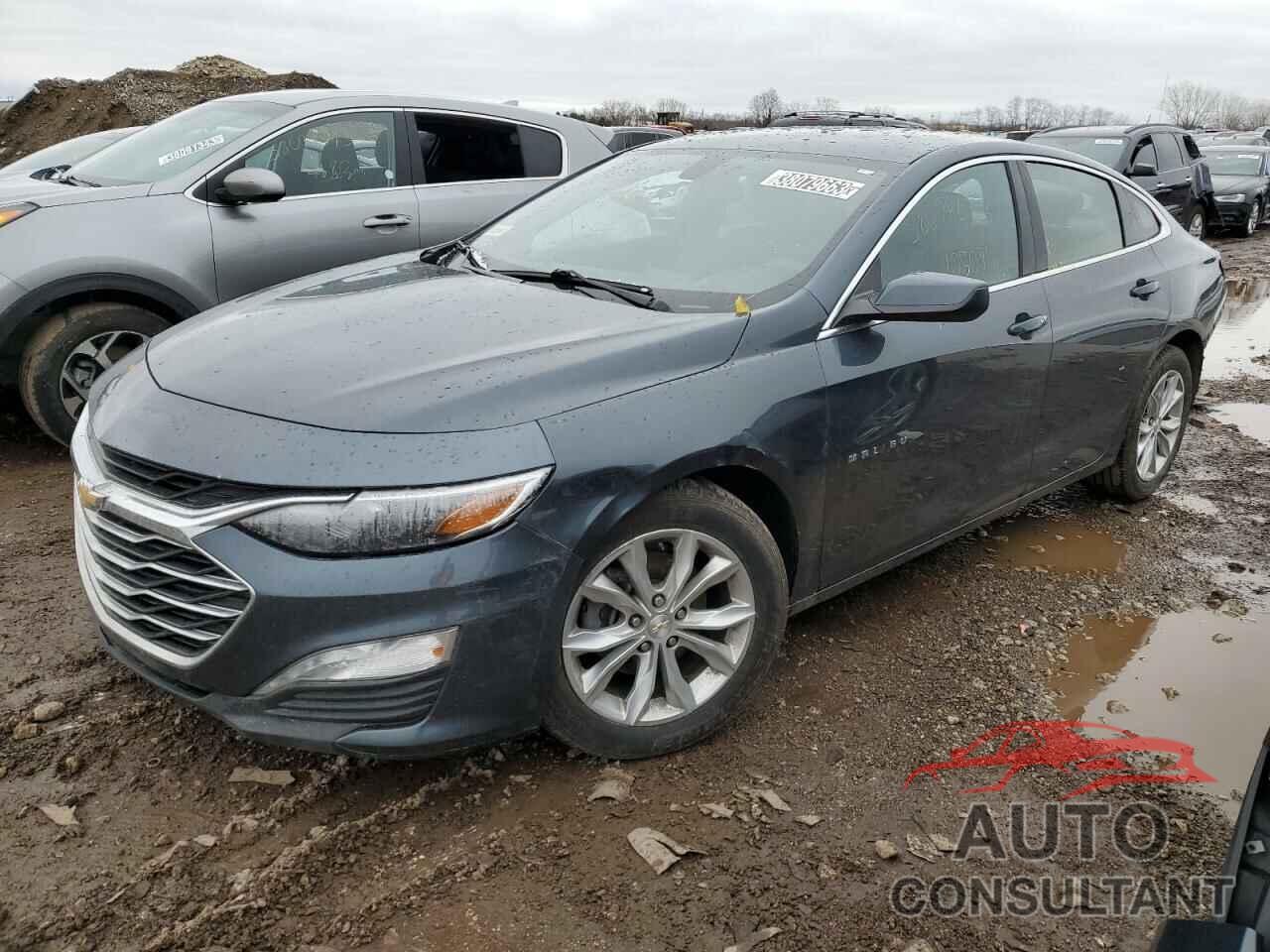 CHEVROLET MALIBU 2019 - 1G1ZD5ST7KF166492
