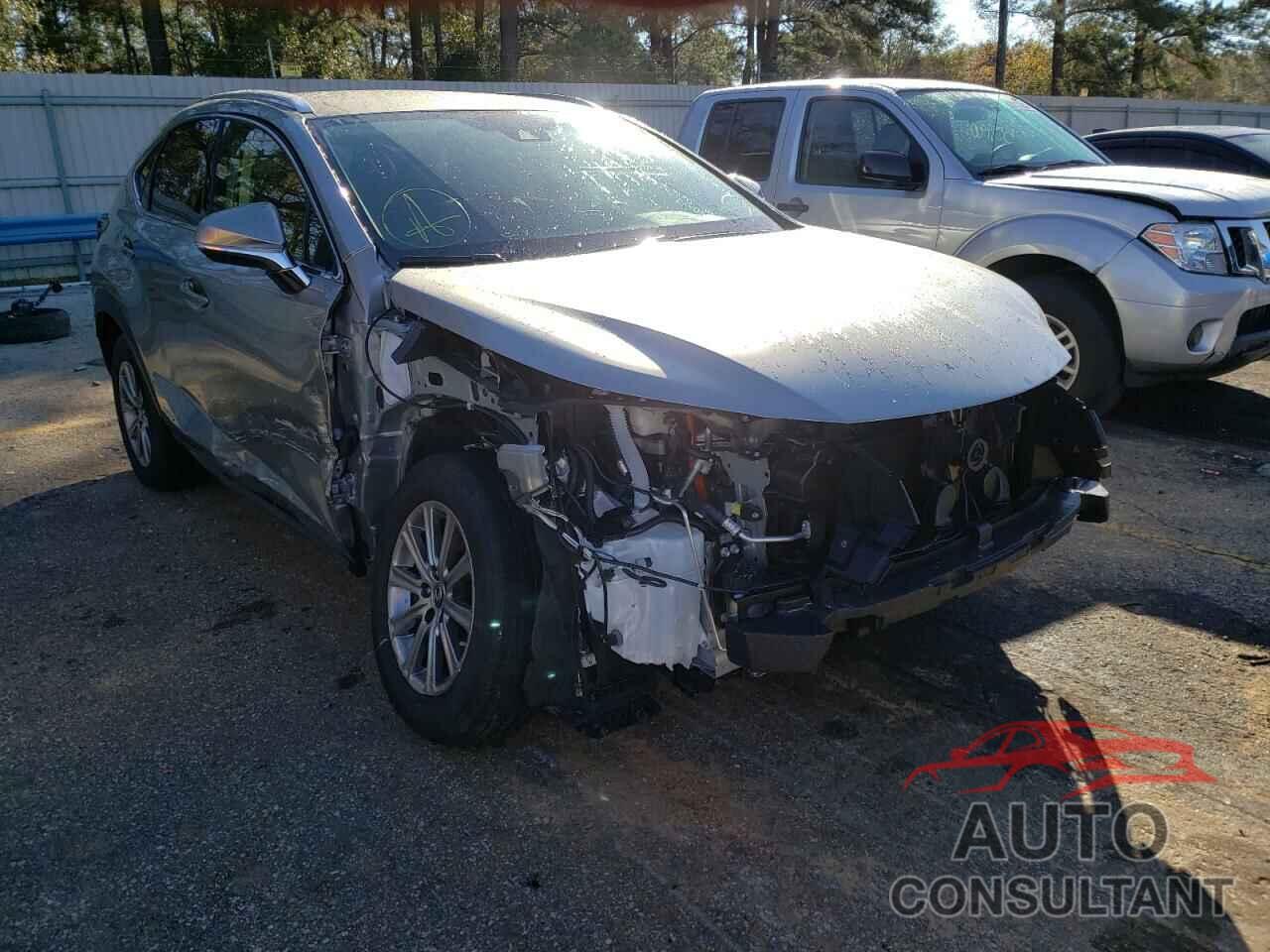 LEXUS NX 2021 - JTJDJRDZ1M2165672