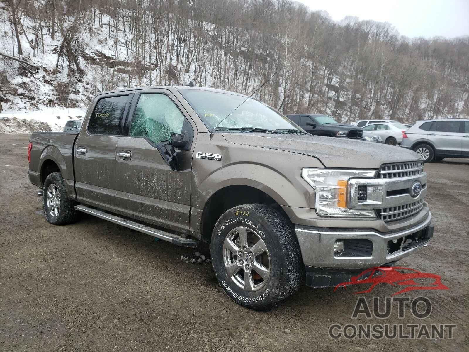 FORD F-150 2019 - 3FA6P0D94KR206476