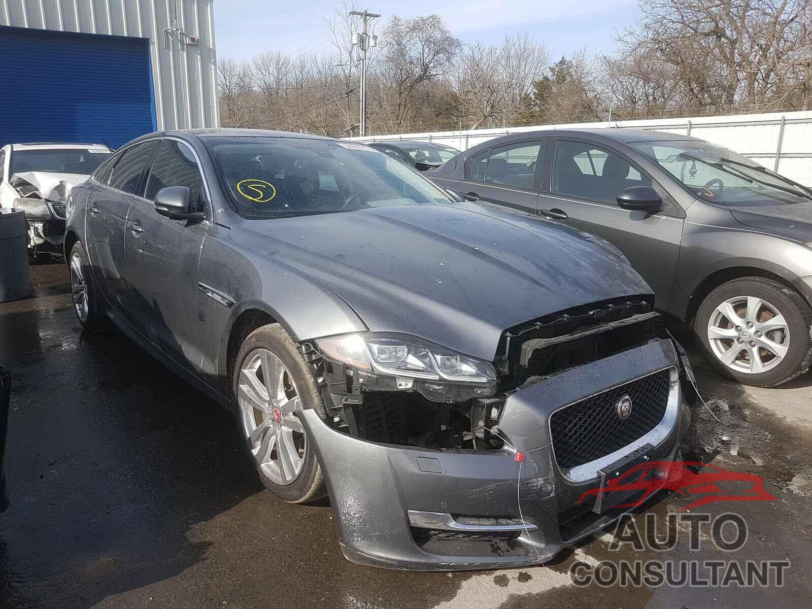 JAGUAR XJ 2016 - SAJWJ1CD5G8V93587