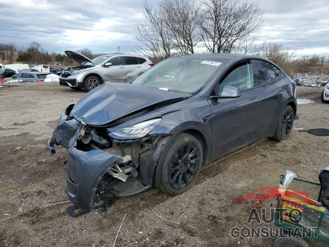 TESLA MODEL Y 2021 - 5YJYGDEE2MF189722