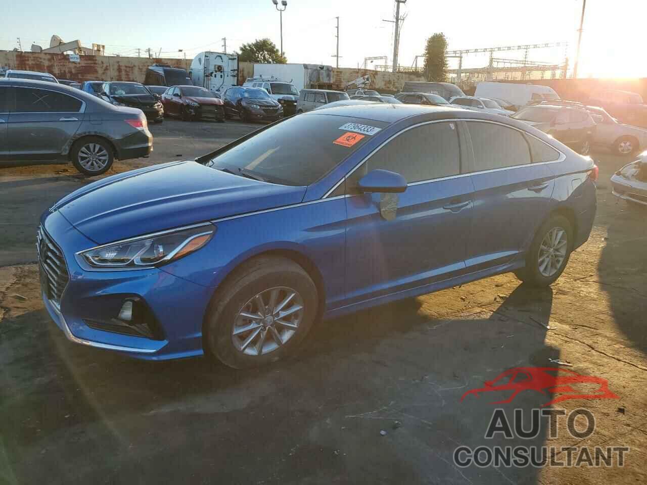 HYUNDAI SONATA 2019 - 5NPE24AF4KH755023