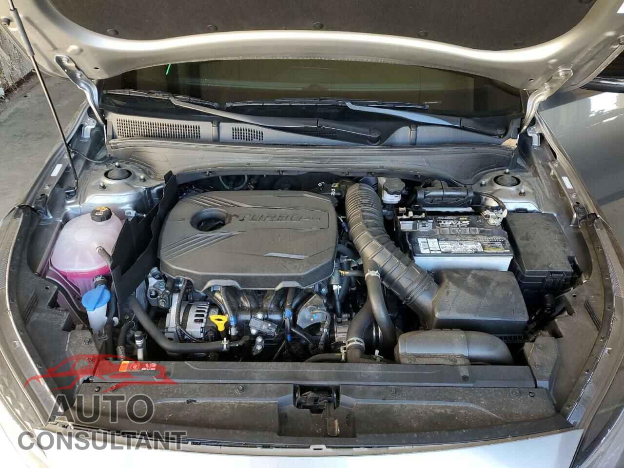 KIA FORTE 2023 - 3KPF44AC8PE590125