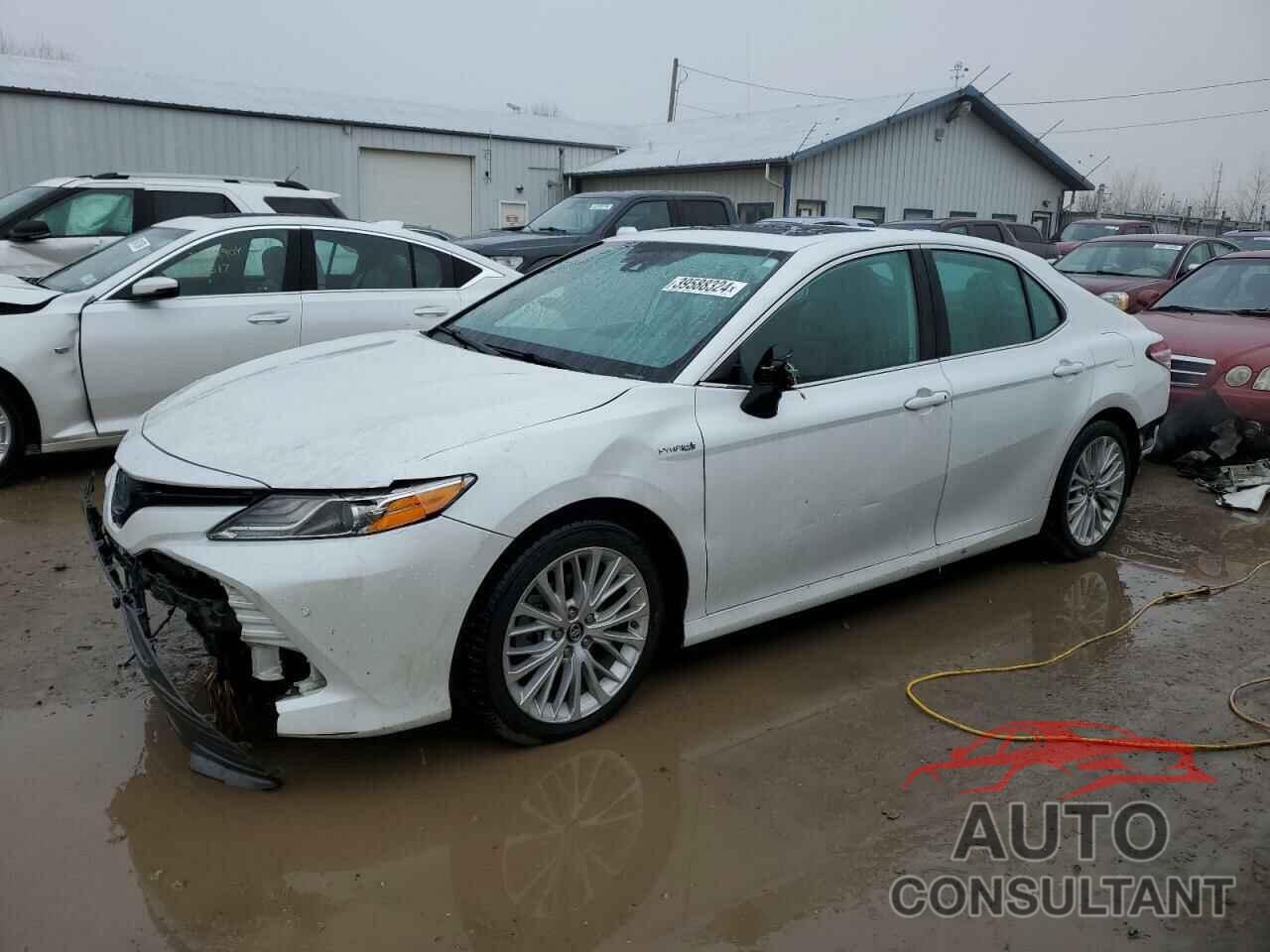 TOYOTA CAMRY 2019 - 4T1B21HK8KU519299