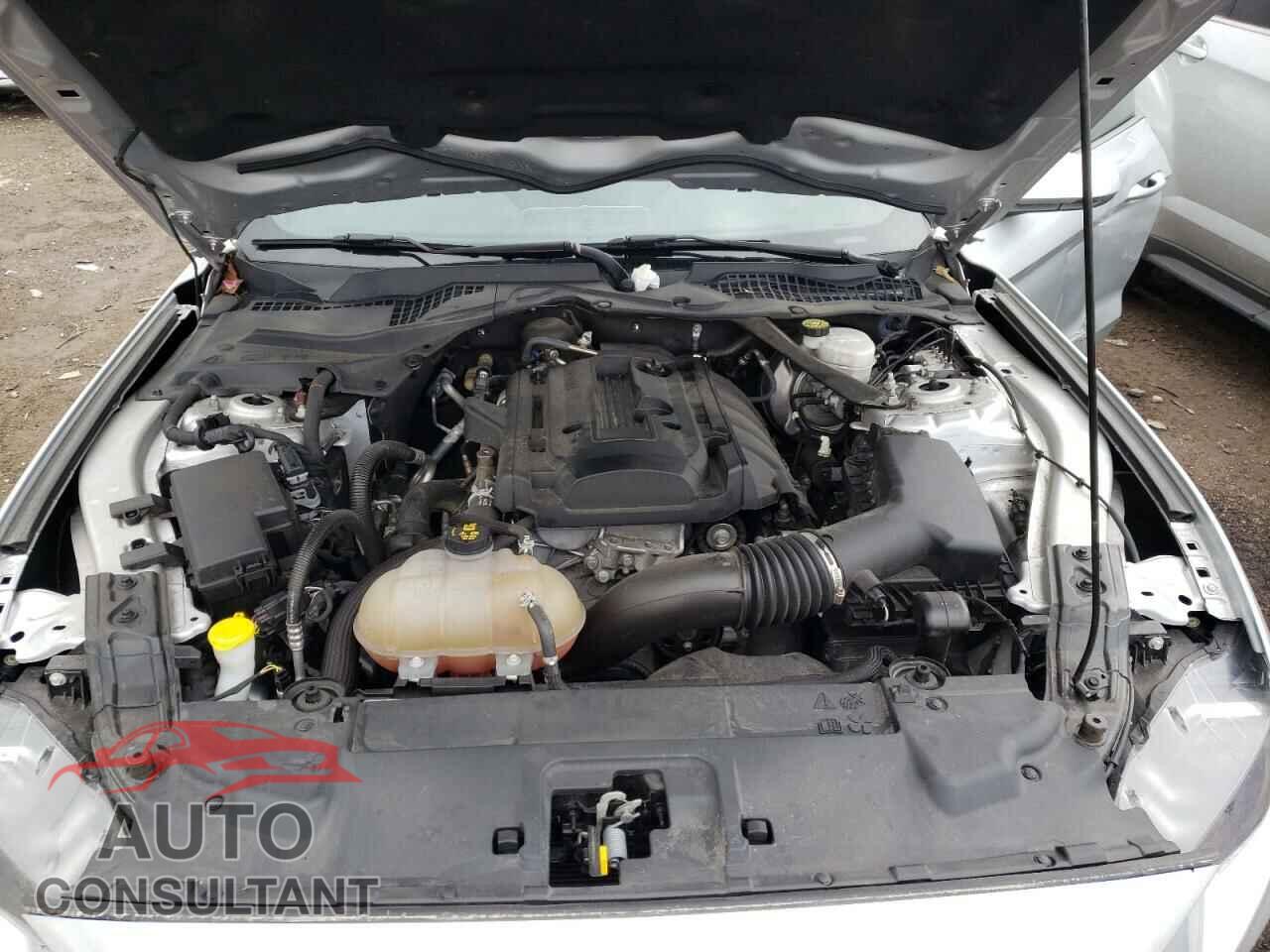 FORD MUSTANG 2019 - 1FATP8UH1K5161508
