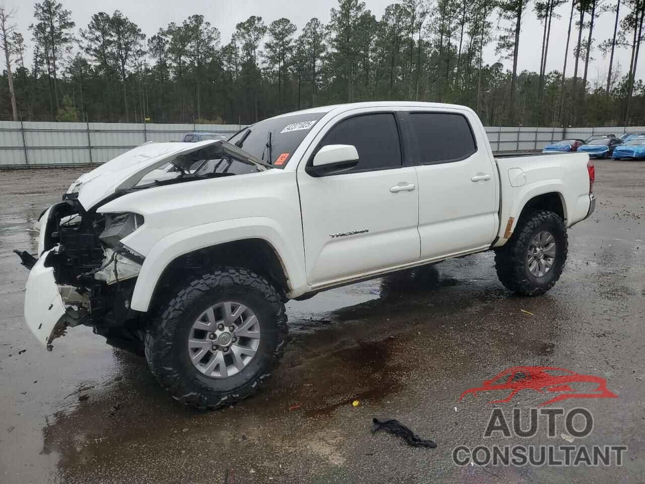 TOYOTA TACOMA 2019 - 3TMCZ5AN8KM256414