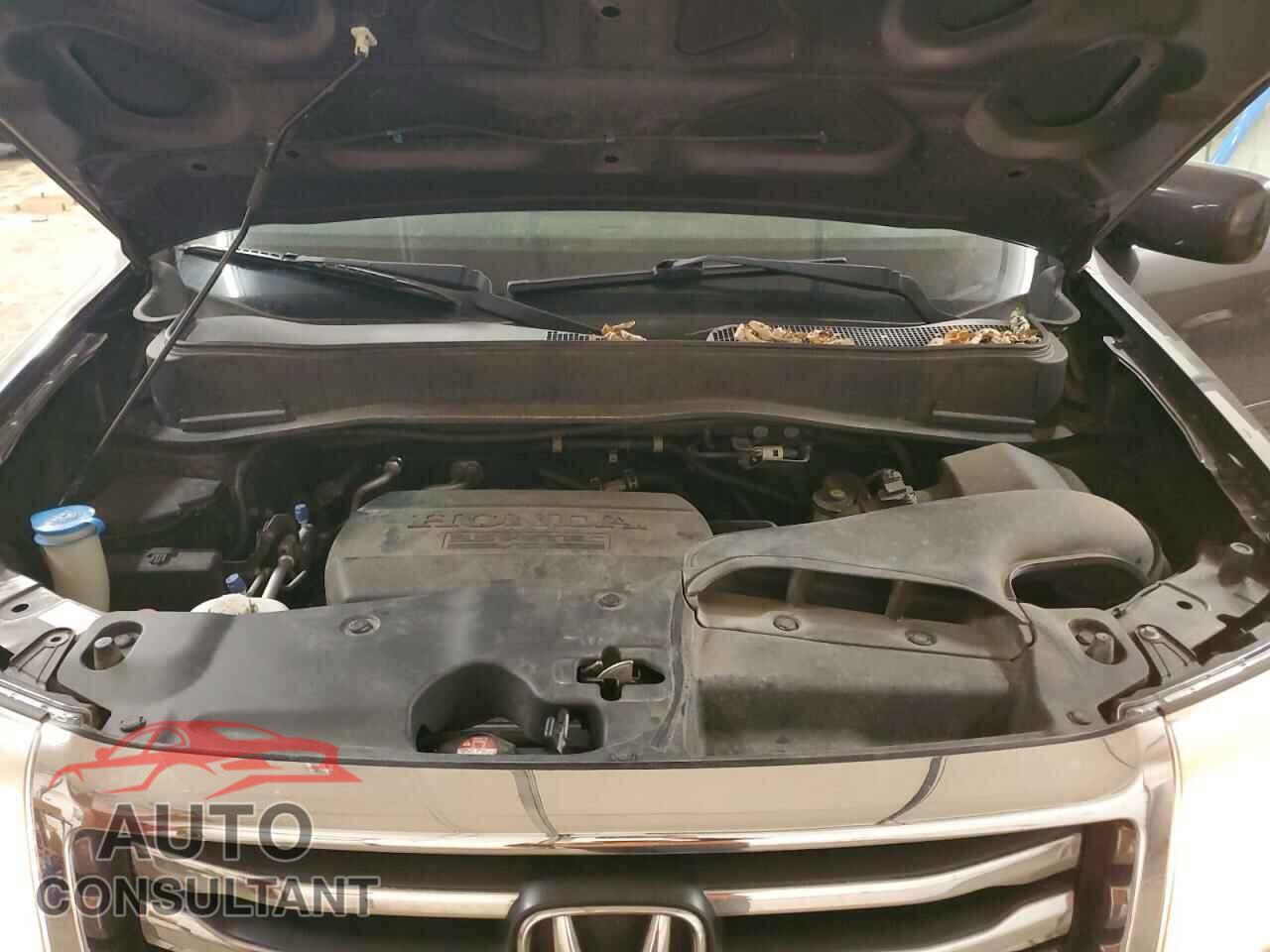 HONDA PILOT 2013 - 5FNYF4H54DB073761