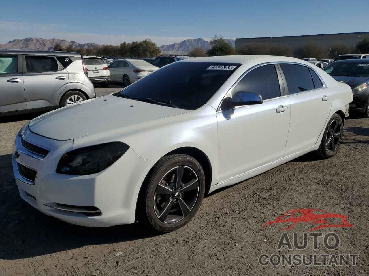 CHEVROLET MALIBU 2010 - 1G1ZA5E0XAF193906
