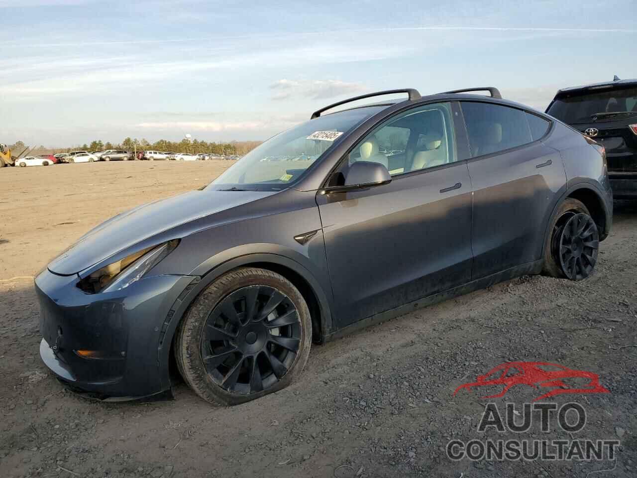 TESLA MODEL Y 2022 - 7SAYGDEE3NF319558