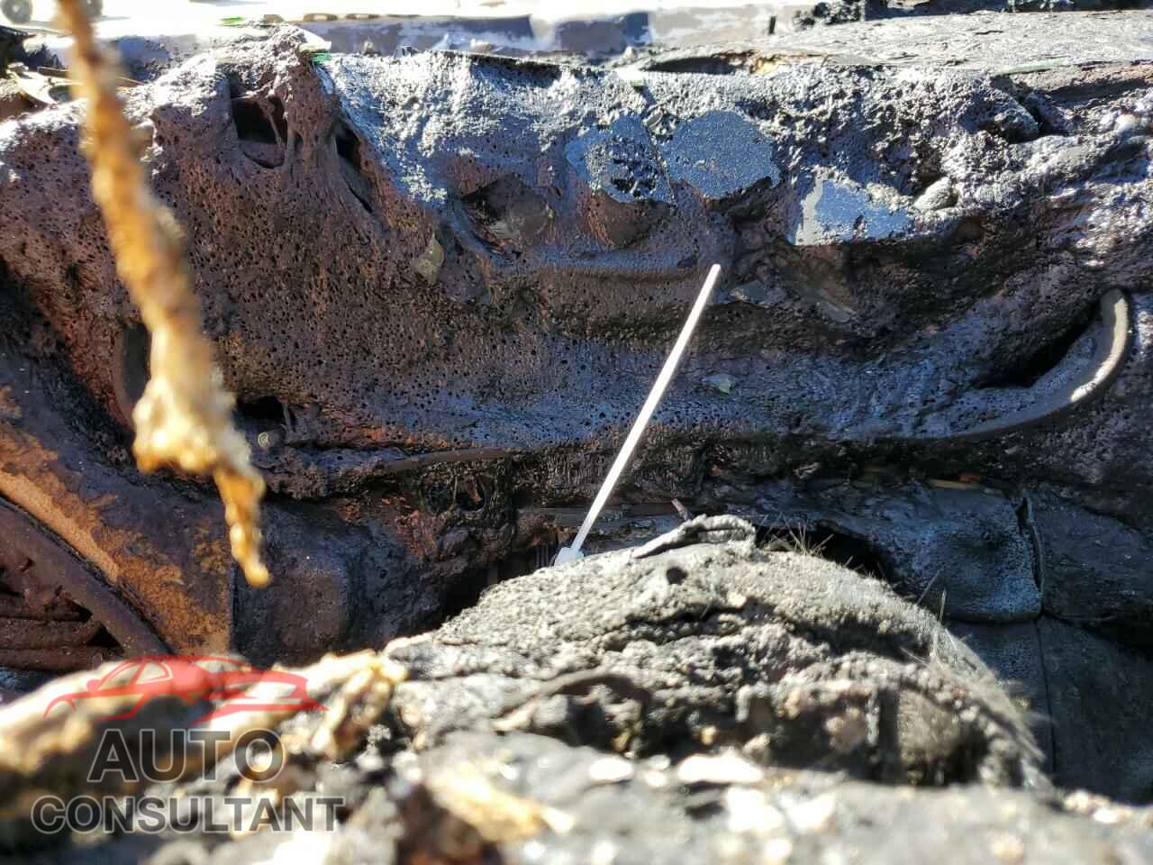 DODGE DART 2016 - 1C3CDFBB7GD667447