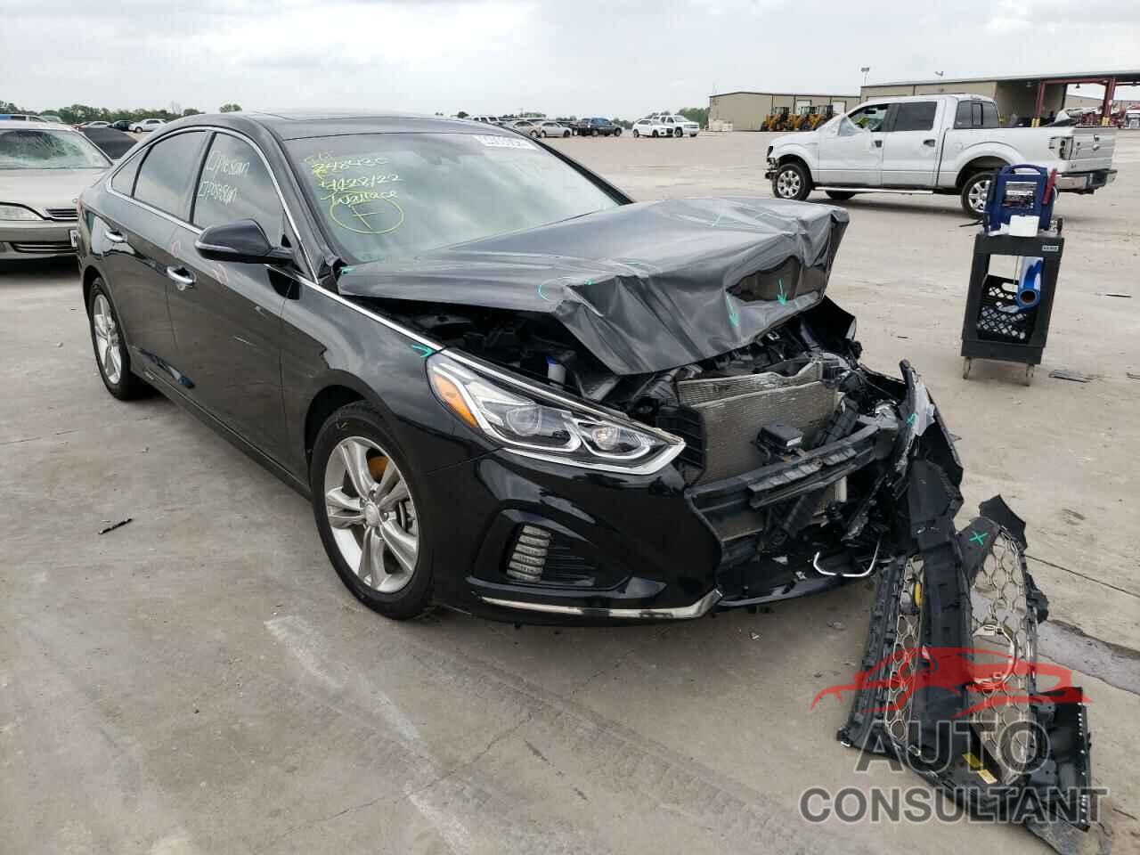HYUNDAI SONATA 2019 - 5NPE34AF7KH732199